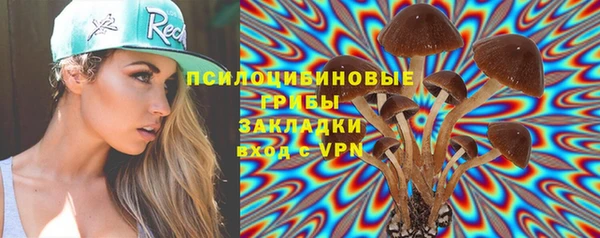 МДПВ Алексеевка