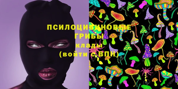 МДПВ Алексеевка