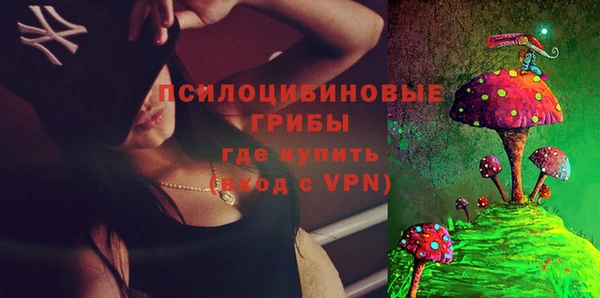 МДПВ Алексеевка