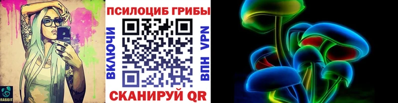 даркнет сайт  Куровское  Галлюциногенные грибы MAGIC MUSHROOMS 